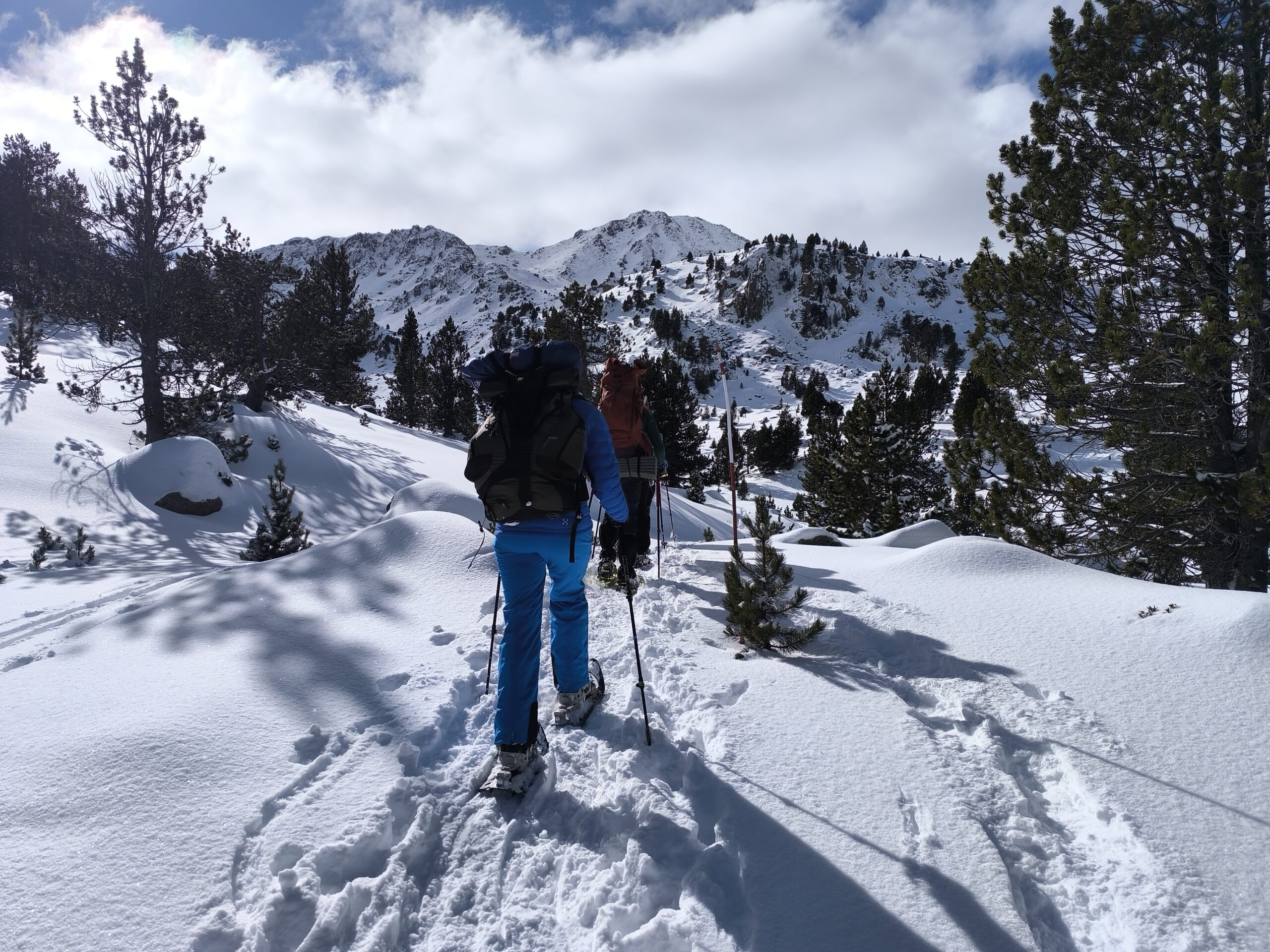 Grup amb raquetes de neu gaudint del paisatge hivernal a Tavascan