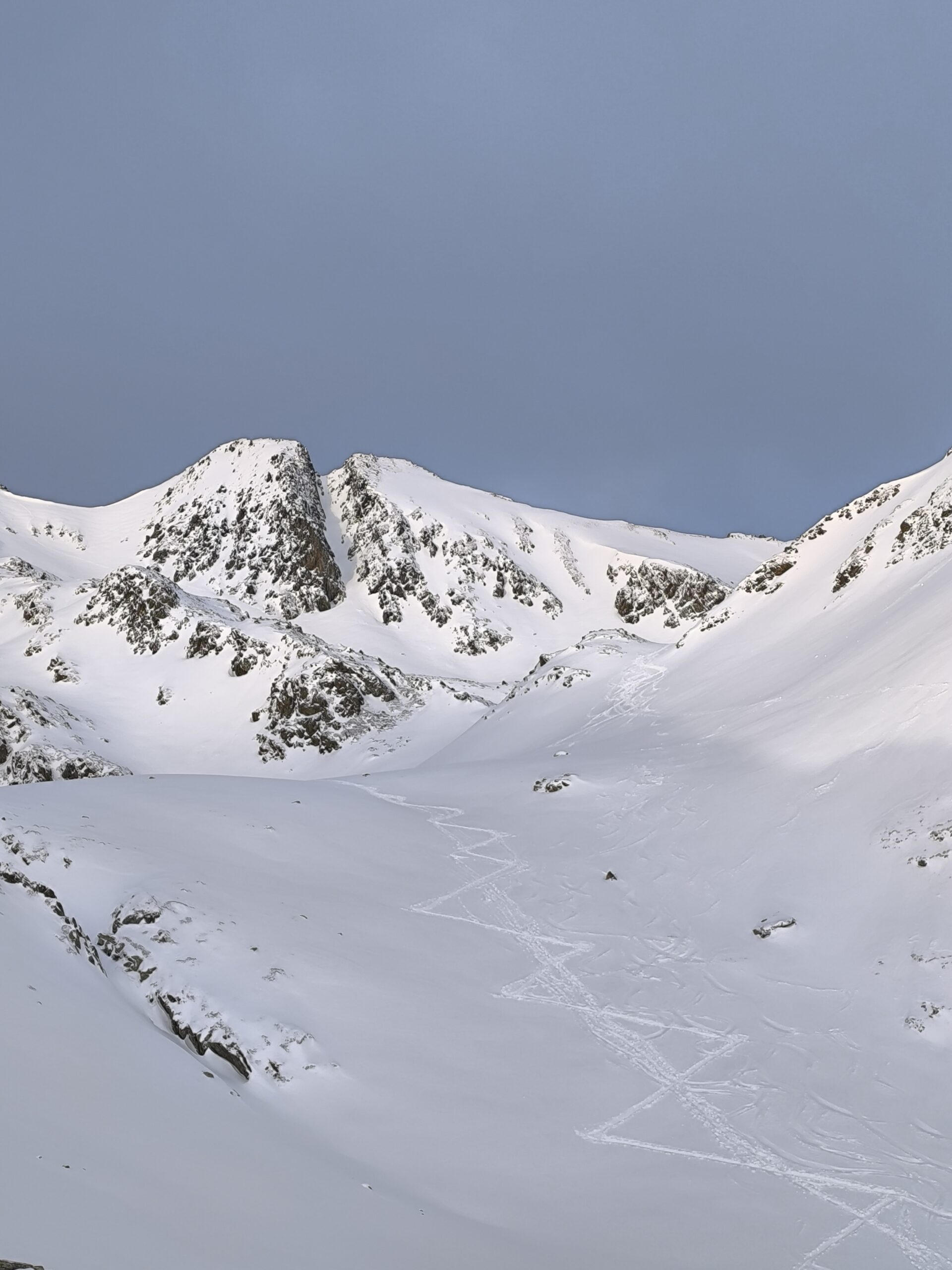 Ruta amb raquetes de neu entre boscos de pi negre