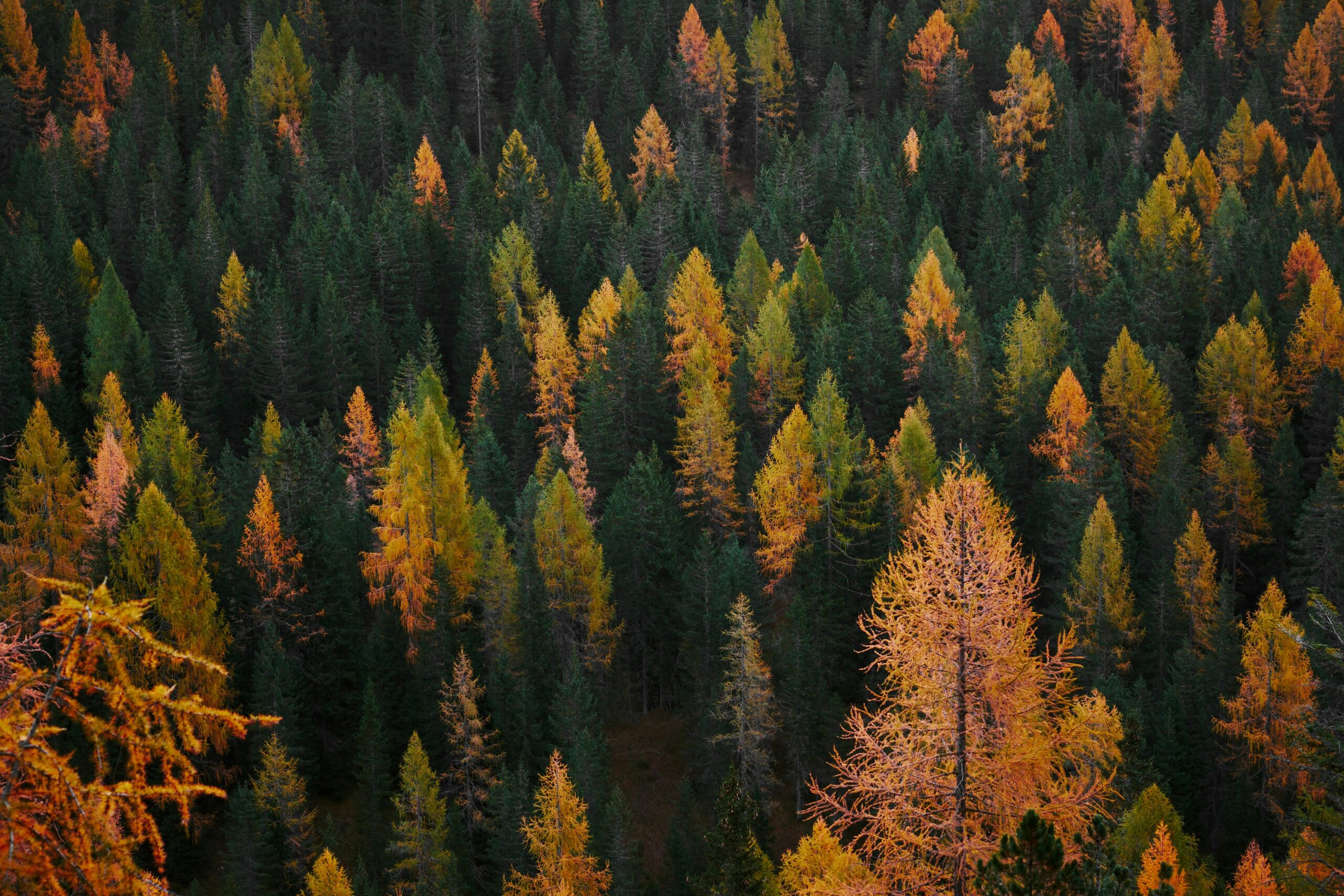 Persona gaudint d'un moment de calma en un entorn natural