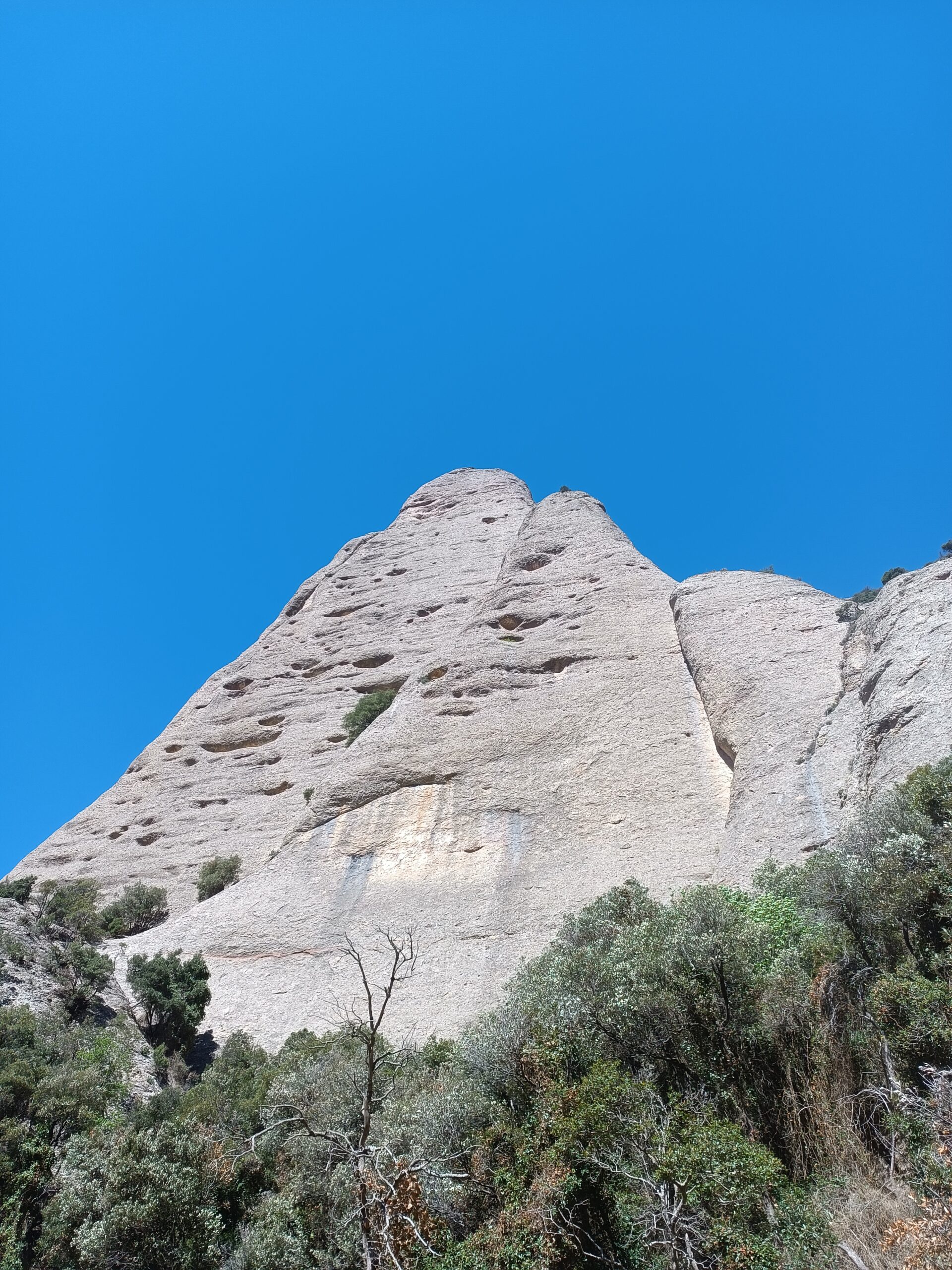 Montgròs from Can Jorba