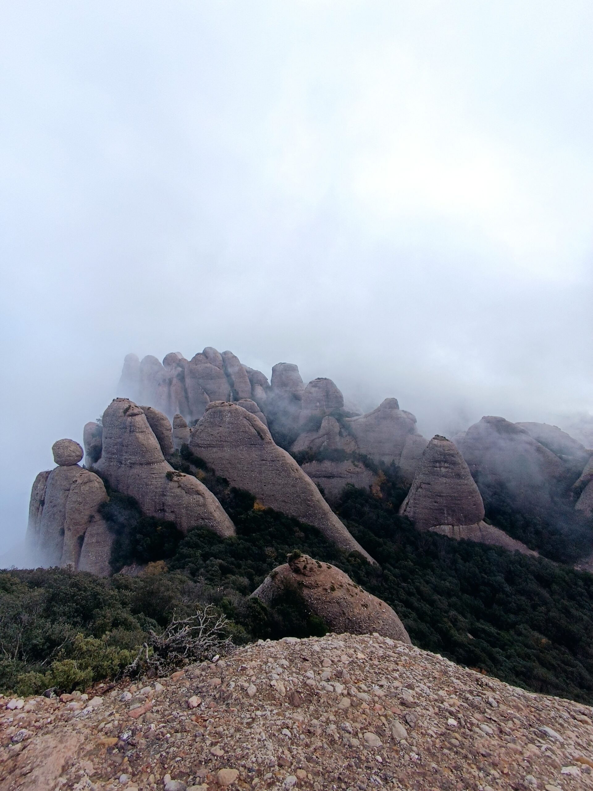 Rutes d'1 dia