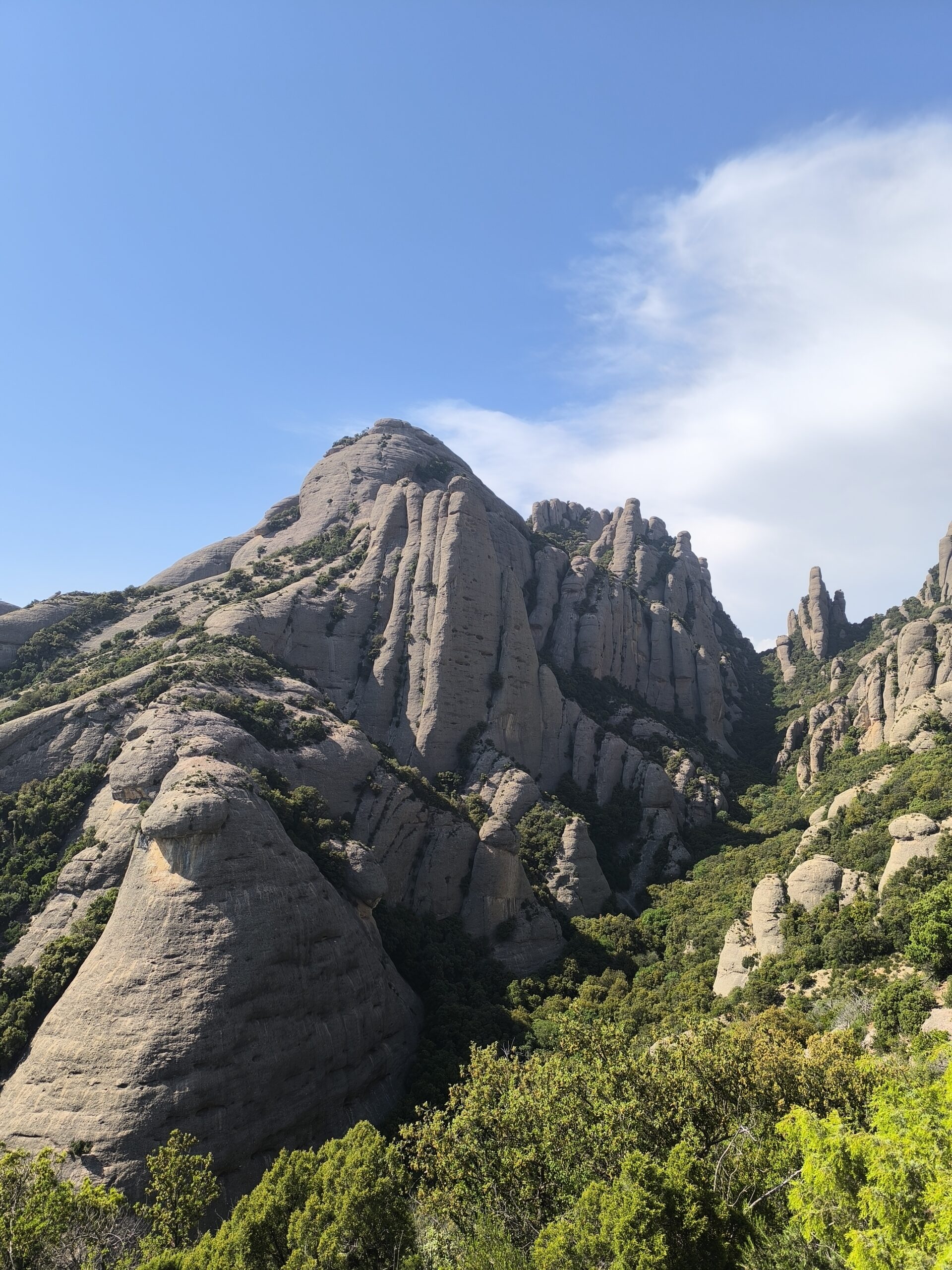 Montgròs from Can Jorba