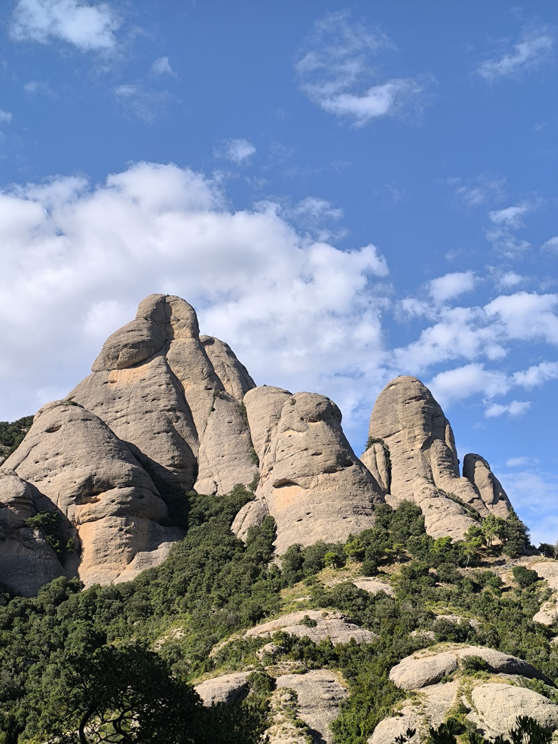 Sant Jeroni i l'Elefant des de Santa Cecília
