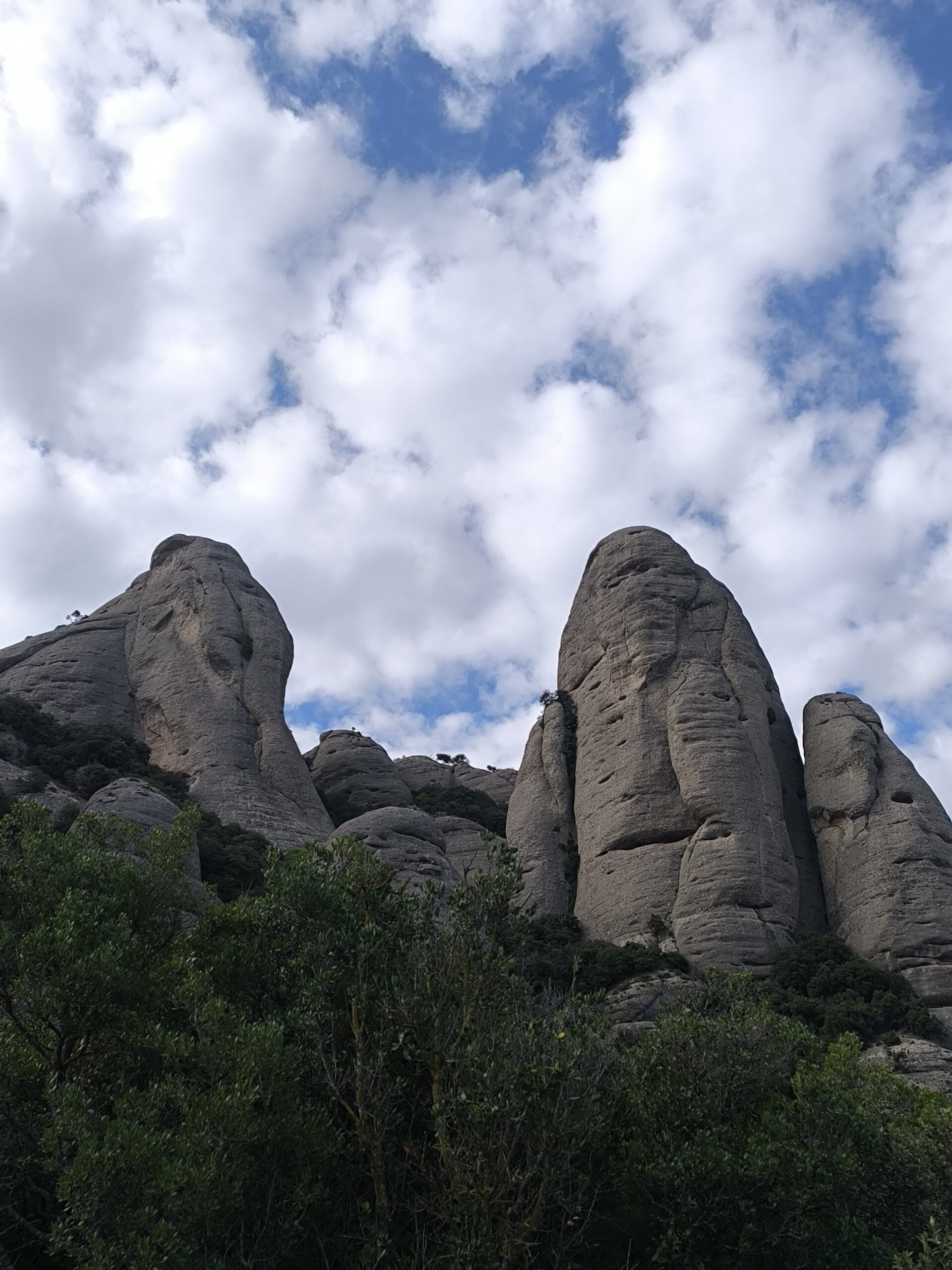 Sant Jeroni i l'Elefant des de Santa Cecília