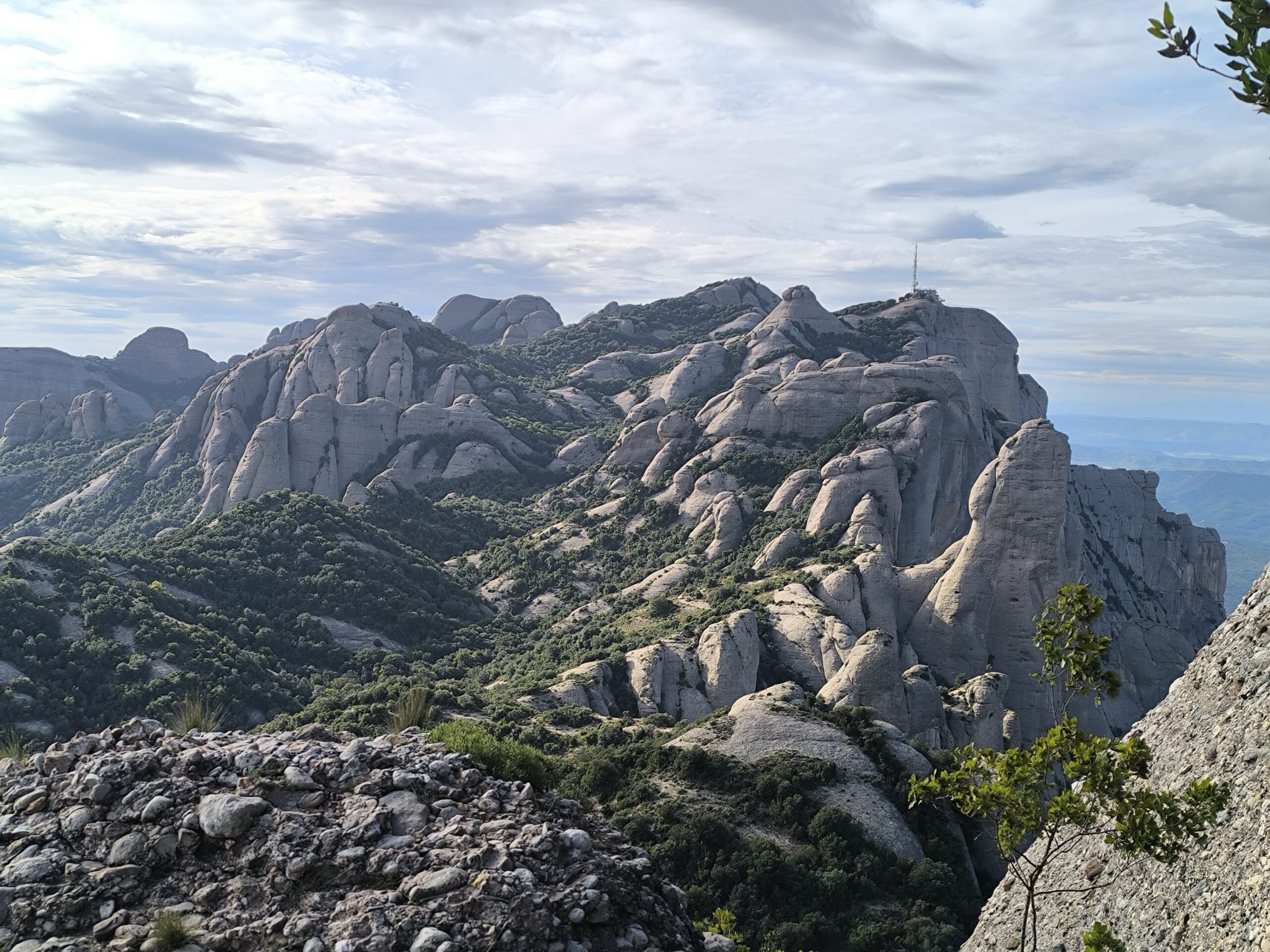 Sant Jeroni i l'Elefant des de Santa Cecília