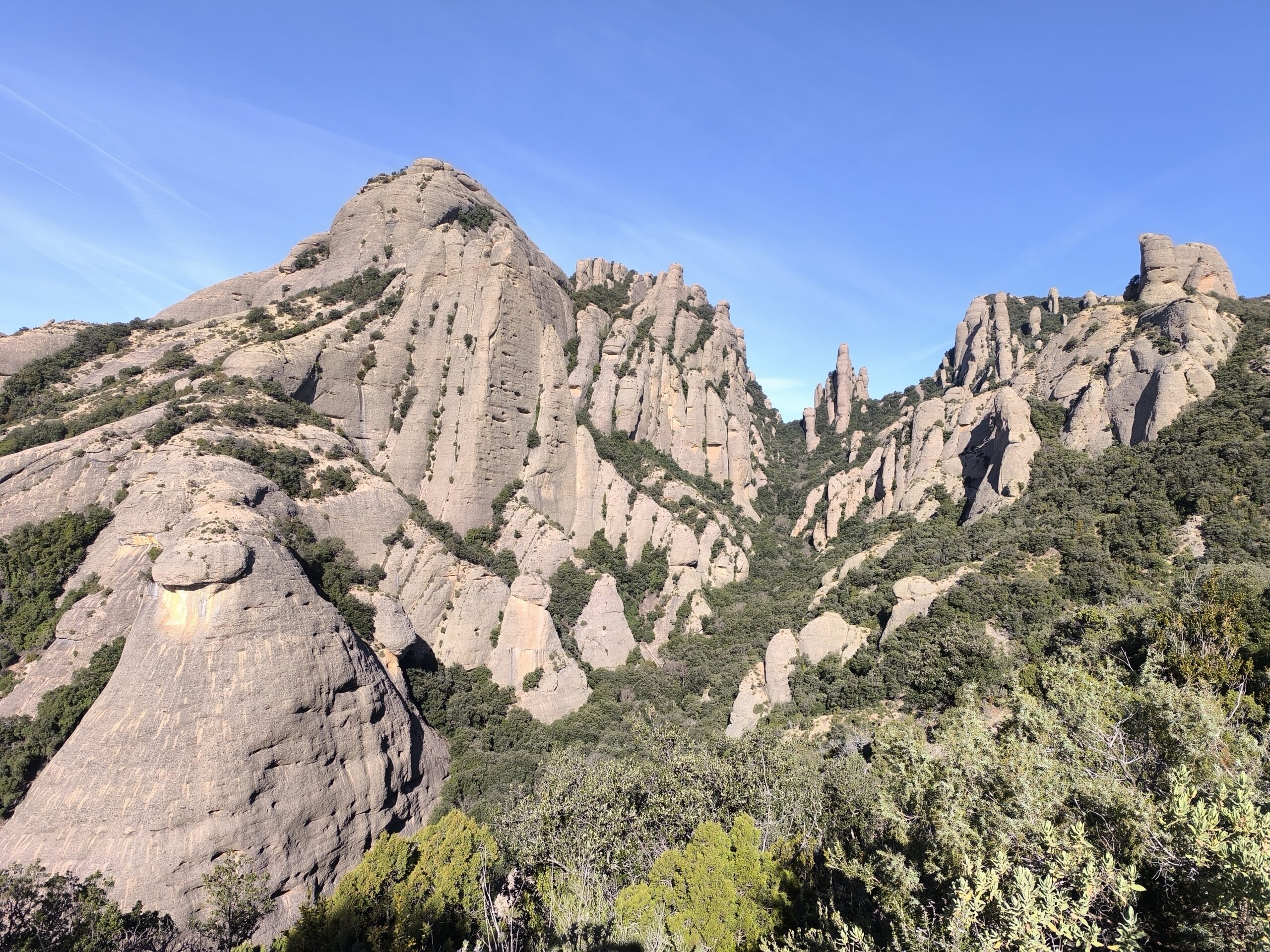 Montgròs des de Can Jorba