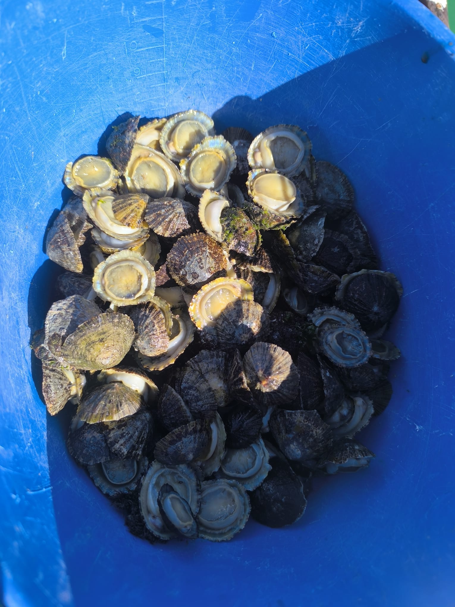 Camiño dos Faros - Costa da Morte
